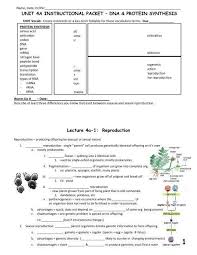 Dna Mutations Practice Worksheet Answers Unit 4a Packet Fulton County Schools In 2020 Practices Worksheets Word Problem Worksheets Nouns And Verbs Worksheets