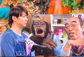 ボード 関東 日テレ のピン