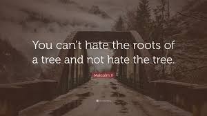 Even a tree doesn't just stand there and complain! Malcolm X Quote You Can T Hate The Roots Of A Tree And Not Hate The