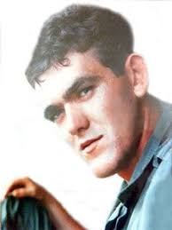 SP5 Michael Noel Faherty, Marlboro, MA