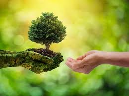 World environment day is the united nations day for encouraging worldwide awareness and action to protect our environment. W2ezhavh1okmrm