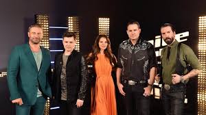 Henny thijssen uit enschede heeft vanavond de finale van the voice senior gewonnen. The Voice Senior Folge 3 Am 8 12 19 Wer Steht Im Finale