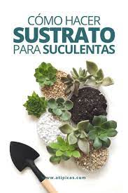 Mezclá una parte de tierra negra con abono orgánico, que puede ser una mezcla los cactus se convirtieron en una de las variedades de plantas más populares. Como Hacer Sustrato Casero Para Suculentas Suculentas Propagacion De Plantas Suculentas Jardineria Y Plantas