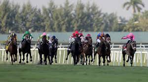 Ready to elevate your bets? Gulfstream Park Horse Racing Picks For Wednesday 6 10 20