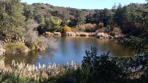 Part of the santa monica mountains national recreation area, the original ranch was owned by edward doheny, who discovered oil in los angeles back in 1982 1882. Franklin Canyon Park The Lake Picture Of Franklin Canyon Park Beverly Hills Tripadvisor