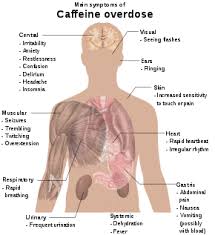 Caffeine Wikipedia