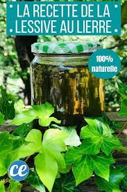 La Lessive Au Lierre La Recette Efficace Qui Ne Vous Coutera Pas Un Rond Recette En 2020 Lessive Lessive Naturelle Lessive Bio