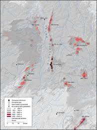 Image result for Eriosema pauciflorum