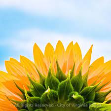 Best Nature Photography Amazing Nature Beautiful Gardens