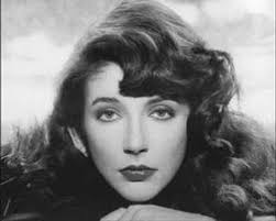 kate bush -- greatest hits