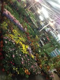 Aujourd'hui je porte une charmante petite robe bleue dans un magnifique jardin que vous avez déjà aperçu ici. Happy Sweet Garden Happy Sweet Garden Seremban 2 Facebook