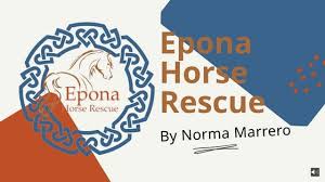 Marreronn presentations