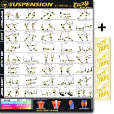 Eazy How To Suspension Cables Exercise Workout Banner Poster