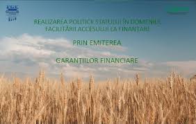 Beneficiarii publici locali pot accesa noul produs de finanţare garantarea economiei rurale (ger), lansat de fondul naţional de garantare a creditelor pentru imm (fngcimm). Fondul De Garantare A Creditelor OrganizaÅ£ia Pentru Dezvoltarea Sectorului Imm