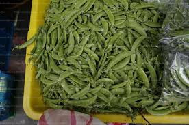 Search for text in url. è±Œè±† è¾²æ¥­çŸ¥è­˜å…¥å£ç¶²