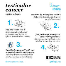 And if the two of you do end up hearing those dreaded words—you have. Movember Testicular Cancer Higher In Men Between 15 37 Years 99fm But First Do The Work
