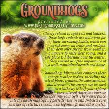 I would say i've had more downs then ups, and it definitely has been a rocky road, but i am a fighter and i won't give up no ma. February 2nd Is Groundhog Day Legend Has It That If The Groundhog Emerges From Its Hibernation On Thi Animal Spirit Guides Aura Reading W I T C H Aesthetic