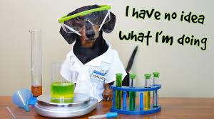 Funny Chemistry Dog Extended Scene W Oakley Dachshund Funny Dachshund Crusoe The Celebrity Dachshund Dachshund