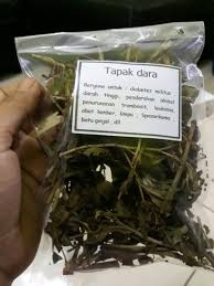 Obat alami paling manjur atasi sakit gigi, cegah kanker, dan turunkan gula darah | lifestyleone. Jual Daun Tapak Dara Kering Bungkusan Berat Sekitar 25gr Di Lapak Makariki Olshop Bukalapak