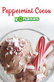 Peppermint Cocoa Yonanas Yonanas North America Recipe Yonanas Recipe Clean Eating Desserts Yonanna Recipes