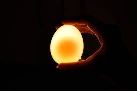 What Happens To An Egg Submerged In Vinegar Egg In Vinegar Bouncy Egg Eggs