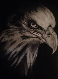 Bald Eagle Black And White Drawing Wisdom Eagle Black White Drawing