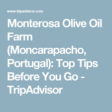 Monterosa Olive Oil Farm Moncarapacho Portugal Top Tips Before You Go Tripadvisor Trip Advisor Olive Olive Oil