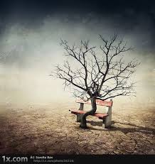 Check spelling or type a new query. 50 Best Photo Manipulation Ideas With Amazing Creativity