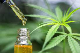The Difference between CBD oil and Cannabis Oil - Nerdcore Movement