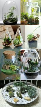 Mahmut Kirnik 2104 Deco Plantes Mini Jardins Jardin D Eau
