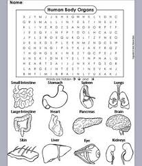 Human Body Human Body Systems Activities Body Systems Activities Human Body Activities