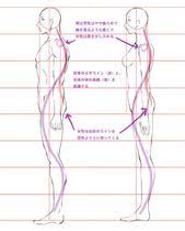 幸坊のうふふのふ 人体解剖 横向き イラスト 解剖学のチュートリアル