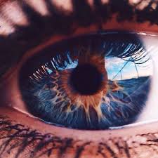 Central Heterochromia Eye Iris No Pin Limits More Pins Like This One At Fosterginger Pinterest Augen Fotografie Schone Augen Augen Farbe