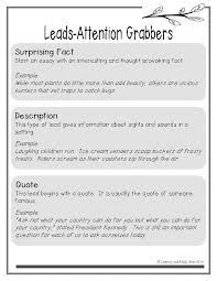 Free Lead Sentence Chart For Narrative Opinion And