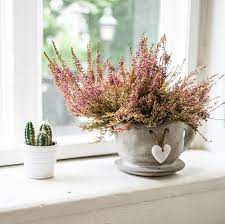 The compost is in handy bags and se. Best Plant Delivery Services 2021 Plant Delivery For Gifts