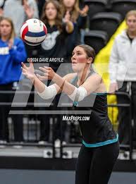 Ellyse Taylor's High School Career Home