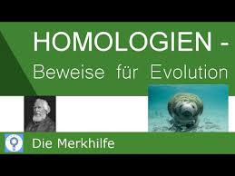 Эрнст генрих геккель ernst heinrich philipp august haeckel. Homologien Beweise Fur Die Evolution Ontogenese Biochemisch Molekular Parasiten Evolution 21 Youtube