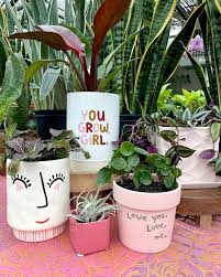 Perfect day to visit the potting bar