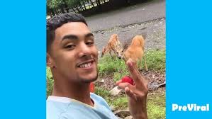 Money the DEER (everybody eats)