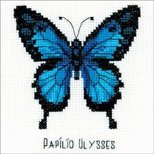 ulysses butterfly counted cross stitch kit