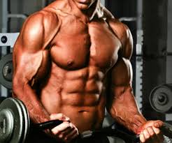 lean muscle workout plan exercise