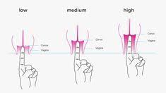 The cervix during pregnancy needs to be thick to keep the uterus protected, but will start thinning in preparation for delivery. Pin On Early Pregnancy