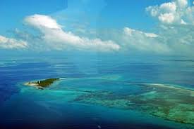 Узнайте о ценах, условиях отдыха и развлечениях на острове. Zanzibar Avtonomiya Vikipediya