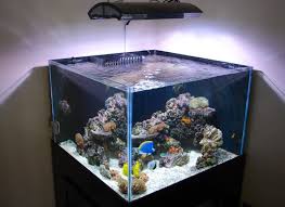 Rimless Aquarium Club Page 15 Reef Central Online Community Aquarium Coral Reef Aquarium Rimless Aquarium