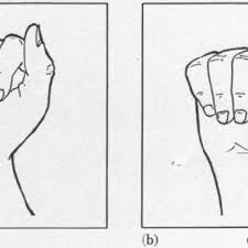 Speech into spanish sign language (ssl). Pdf Sign Language Contact And Interference Asl And Lsm