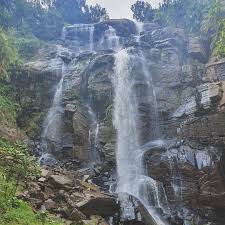 Emmanuel Danielson (De'Kit)🇹🇿 (@eng_emmanueldekitjr) • Instagram photos  and videos