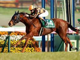 Google has many special features to help you find exactly what you're looking for. é«˜æ¾å®®è¨˜å¿µ 2019 éŽåŽ» æ–­è¨€ ãƒ¢ã‚ºã‚¹ãƒ¼ãƒ'ãƒ¼ãƒ•ãƒ¬ã‚¢ã¯å‹ã¦ãªã„ ç«¶é¦¬äºˆæƒ³ã®ã‚­ãƒ³ã‚°ã‚¹ãƒãƒ¼ãƒ„