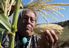 INDEPENDENT LENS: Seed: The Untold Story