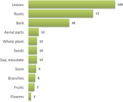 Image result for Antherotoma senegambiensis