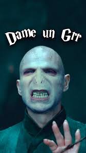 Voldemort y el Grr de Harry Potter: Una Parodia Divertida